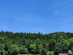 -武陵山森林公园