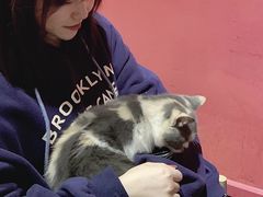 -猫色咖啡·猫咖