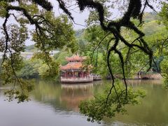 -潮镇老尾牛杂(环城西路店)