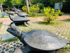-广东惠东海龟国家级自然保护区