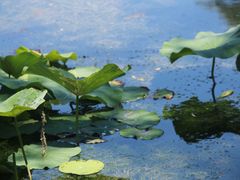 -承德避暑山庄景区