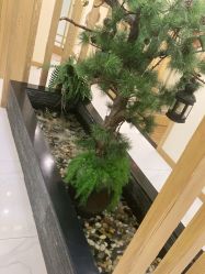 -芳朵美容养生SPA