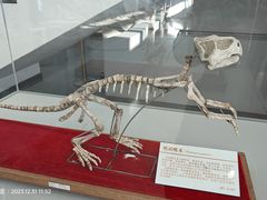 -中国第四纪冰川遗迹陈列馆