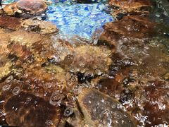 -森谷美食公园(杨行店)