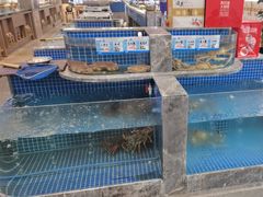 -骏莱海鲜鱼港(五角场店)