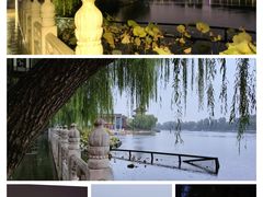 -后海公园
