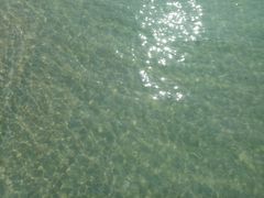 -亚龙湾海底世界