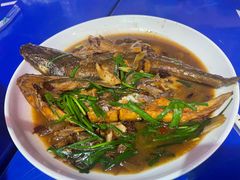 -一口猪海鲜浑锅·东北家常菜