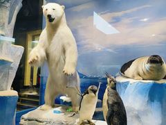 -国家自然博物馆