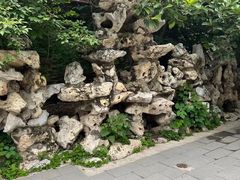 -玉兰茶楼