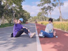 -上海长兴岛郊野公园