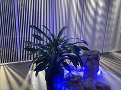 -墨宴(西洋湖店)