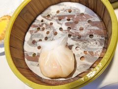 -东方早茶 海鲜•青岛菜(国信体育中心店)