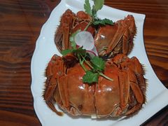 -呼吸森林·生态农庄农家乐私房菜