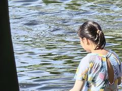 -百林岛梦里水乡