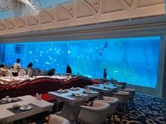 帝铂海底餐厅-三亚海昌梦幻海洋不夜城
