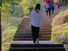 -凤栖山