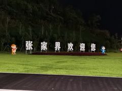 -张家界荷花国际机场