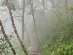 -白草畔自然风景区