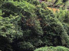 -夏霖九天银瀑风景区