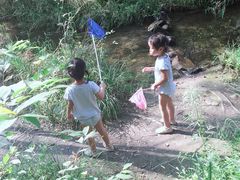 -碓臼峪自然风景区