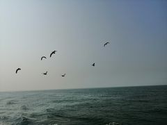 -海驴岛(荣成市)