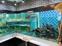 -农汤老店(顺联公园里店)