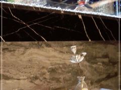 -红辣椒·川菜·火锅(张杨路店)