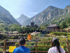 -禅宗少林·音乐大典