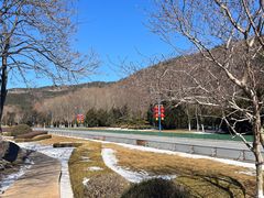 -棒棰岛宾馆景区