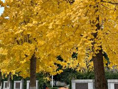 -成都中医药大学(温江校区)