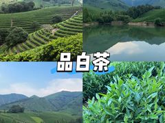 -阿露佳·舌尖上的安吉菜