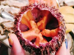 -斯普汇生蚝牛排馆(中骏世界城店)