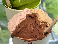 -鹤茶野所(上海首店)