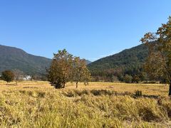 -塔川景区