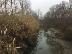 -溱湖国家湿地公园