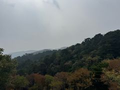 -妙峰山风景名胜区