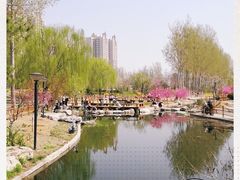 -燕郊植物园