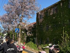 -养马岛旅游度假区
