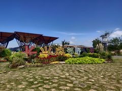 -上海长兴岛郊野公园