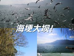 -海埂大坝