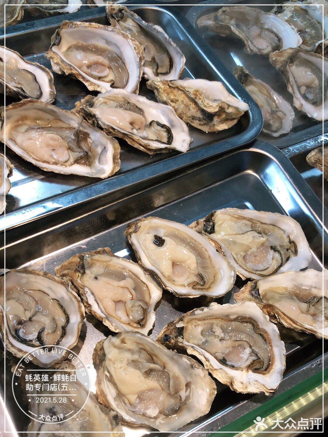 最近有点发胖，但依然不想错过这肥美的生蚝