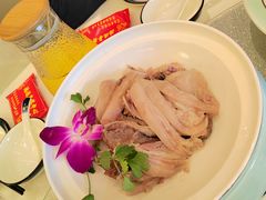 -松沪名灶·豆浆鱼头·新上海菜(飞航吾悦广场店)