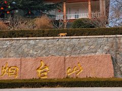 -烟台山景区