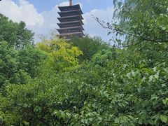 -牛首山文化旅游区