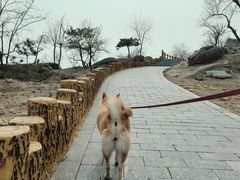 -白水寺森林公园