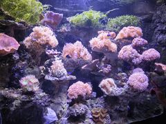 -郑州海洋馆