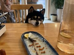 -柴の食堂·日式家庭料理·熊之肆(大学路店)