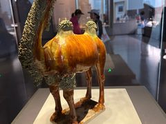 -贵州省博物馆(新馆)
