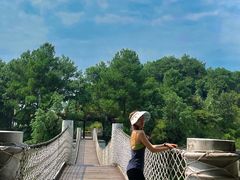 -铁山坪森林公园